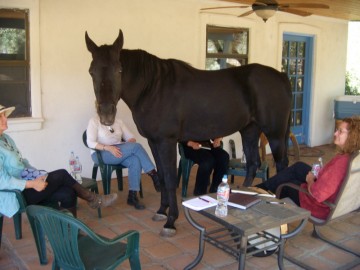 Black Horse Wisdom workshop, fall 2009