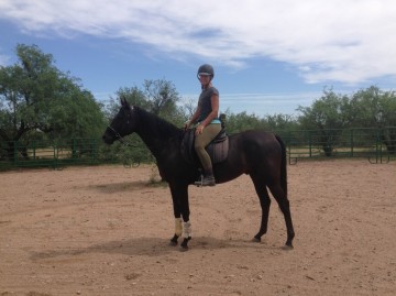Eponaquest Instructor and Assistant Ranch Manager Lucinda Vette rides Merlin’s son Orion. For an update on Orion’s progress and other recent and classic photos of the Eponaquest herd, check out our new Facebook page.