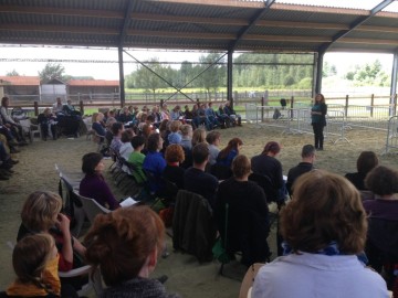 A welcoming crowd at the Kheiron Equine Facilitated Learning Center in Belgium