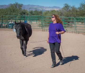 Linda and Spirit demonstrate working with a dominant horse.